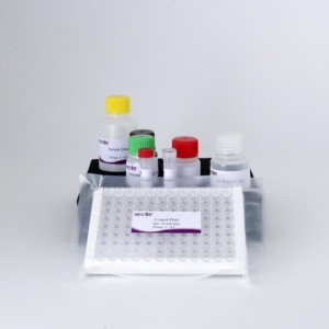PRRSV Monoclonal <strong>Antibody</strong> Competitive ELISA Kit for Swine Reproductive and Respiratory Syndrome Virus <strong>Detection</strong> - Product Image 4