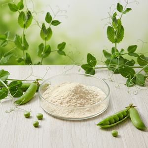 Wholesale Natural Pea <strong>Protein</strong> <strong>Powder</strong> 80% Pea <strong>Protein</strong> - Product Image 2