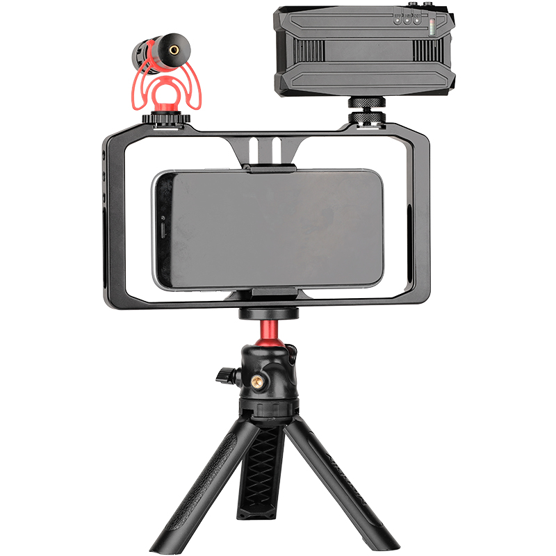 Manbily MT-05VL Video Shooting LED Light Portable Tripod Live Microphone Selfie Stick Speaker Shotgun Microphone
