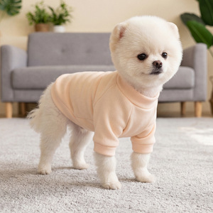 PETCIRCLE Pet Clothing - Spring and Autumn - Small Dog, Puppy, and <b>Cat</b> <b>Clothes</b> - Plain Crew Neck Shirts - Product Image 2