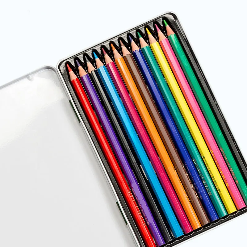 Professional 12/24สีดีบุกกล่องบรรจุศิลปินดินสอสีชุดสำหรับของขวัญเด็ก