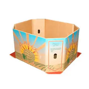 큰 골판지 상자 제조자 마분지 상자 수박 과일 수송용 포장 상자