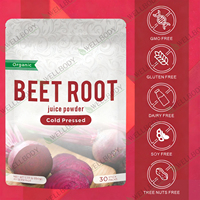 WELLBODY Nature Sports Nutrition Supplements Extrait de betterave rouge en poudre Jus de betterave en poudre Poudre de racine de betterave