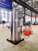 Generator Uap Industri Berbahan Bakar Minyak/Gas/LNG dengan Struktur Tabung Api Vertikal Otomatis, Akurasi Tinggi, Hemat Energi, dan Operasi Stabil
