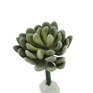 Pilihan sukulen buatan Mini, berbagai jenis sukulen imitasi tanpa pot, dekorasi rumah pengaturan bunga Agave Echeveria - Product Image 4