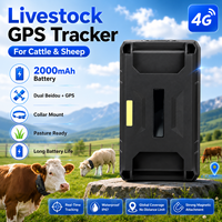 Industrieller GPS-Rindertracker, staub- und wasserdicht, für Weideortung, mit robustem Halsband, 12 Monate Akkulaufzeit