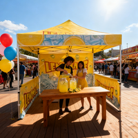 Carpa de Jardín Personalizada con Impresión, Toldo Plegable, Techo Publicitario, Carpa Promocional para Eventos al Aire Libre, Carpas para Festivales