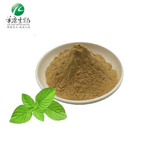 高品質のミントの葉Mentha Haplocalyx Briqパウダーペパーミント (Mentha piperita) エキス - Product Image 2