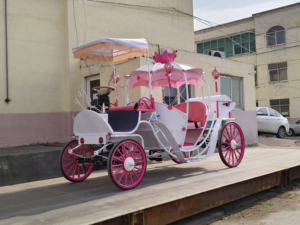 Vehículo Eléctrico Tipo Carruaje de Cenicienta de HYS Manufacturers, Transporte Todoterreno Especial - Product Image 6