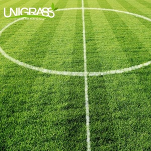 Hochwertiger Fußball Kunstrasen Fußballplatz Kunstrasen Fußball Kunstrasen für Fußballfelder Naher Osten - Product Image 3