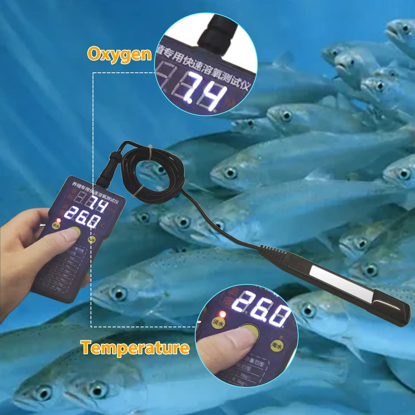 Rilevatore di qualità dell'acqua disciolto per Test di acquacoltura rilevatore di ossigeno disciolto portatile