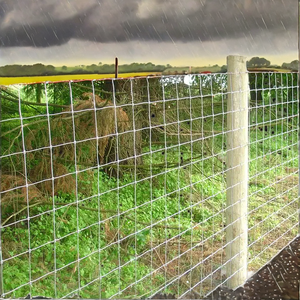 Toptan sıcak daldırma galvanizli çelik çerçeve tel örgü çit çiftlik hayvan koruma için ısıl işlem görmüş ahşap çevre dostu - Product Image 3