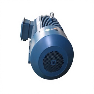 YE3-315 IE3 Efficiency 132KW 160KW 185KW 200KW 220KW 250KW Three Phase Induction Electric Motor Foot Mount IP55/IP65 - Product Image 3