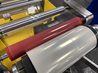 Mini extrudeuse automatique de film plastique PS PE ABS PVC extrudeuse pour TPE EVA PLA Nylon coulé Film étirable vis moteur noyau