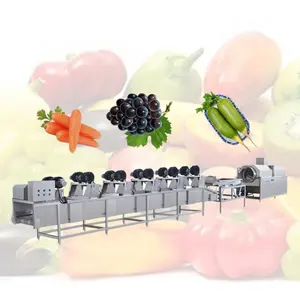 Multifunktion ale Obst-und Gemüse reinigung Blasen waschmaschine Blattgemüse Süßkartoffel wasch verarbeitung linie