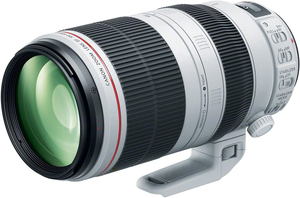 Objectif Canon EF 100-400mm f/4.5-5.6L IS II USM, objectif seul - Product Image 5