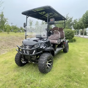 Auto Usado <span class=keywords><strong>VW</strong></span> Golf en Promoción, Carro de Golf Eléctrico de 4 Plazas, <span class=keywords><strong>Precio</strong></span> de Carros de Golf a Gasolina Chinos en Venta - Product Image 6