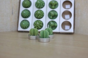 เทียนกระบองเพชรหอม - Product Image 5