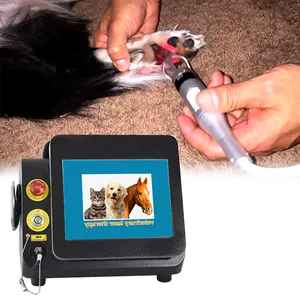 Macchina per fisioterapia laser di classe iv 980nm laser ad alta potenza per l'artrite dei cani