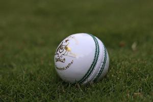 AK Blanc Fait à la Main Boules De Cricket En Cuir 4 Pièces 156g Test Match de Cricket Boules dures (6 boules) - Product Image 4