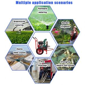 Bomba de Agua Centrífuga de Alta Presión para Riego Agrícola, Diésel, 3-4 Pulgadas, Eléctrica, Duradera, Fácil Mantenimiento - Product Image 4