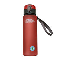Logo personnalisé en gros 400ml 560ml Sport bouteille d'eau potable directe gobelet d'eau en plastique givré couvercle rebondi verre de qualité alimentaire