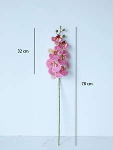 Arrangement floral d'orchidées papillon en gros, faible MOQ, fabricant d'orchidées papillon, orchidées papillon prêtes à être expédiées - Product Image 4