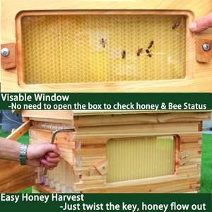 7X Plástico Automático auto-Run-mel Colméia Com Abelha Super Box Brrod Casa + Suporte Suporte de Perna Não montado - Product Image 6