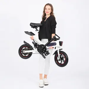 卸売カスタム折りたたみ式電動自転車ファットバイクEbike 350w 36v 12 14米国倉庫折りたたみ式電動自転車