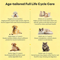 Suplemen Kunyah Lunak Multivitamin 11-in-1 untuk Hewan Peliharaan Nutrisi Harian Lengkap untuk Semua Tahap Hidup Universal untuk Kucing dan Anjing