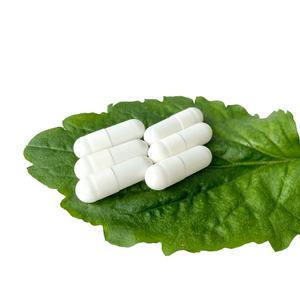 Pil Kapsul Biru Putih, Produsen Kapsul Vegetarian Terpisah - Product Image 6