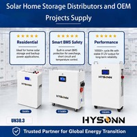 Batterie au lithium fer phosphate Hysonn haute performance 51,2 V de type mural pour stockage solaire domestique, destinée aux distributeurs et aux projets OEM