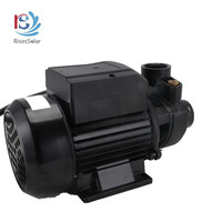 Risessolar RQB série 48V DC pompe à eau de surface solaire dc pompe de surface pompe de surpression solaire pour l'agriculture