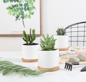 Pot Bunga Silinder Berlapis Kaca untuk Sukulen dengan Bambu Mini 3,15 Inci Gaya Sederhana Putih Kustomisasi Keramik Kontemporer - Product Image 3