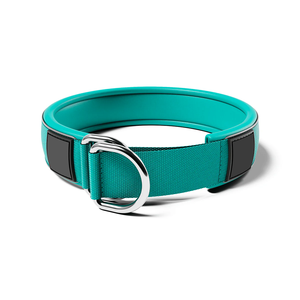 <span class=keywords><strong>Collar</strong></span> de perro multicolor de moda con hebilla de Metal resistente Interior acolchado suave Ideal para caminar diario Accesorio elegante para mascotas - Product Image 3