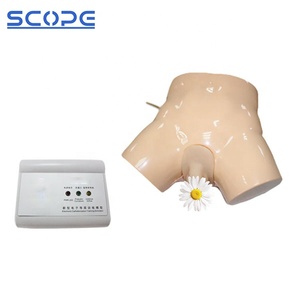 SC-H1D Manikin Huấn Luyện Y Tế Mô Phỏng Catheter Niệu Đạo Điện Tử Cho Người Lớn Và Mô Hình Enema - Product Image 2