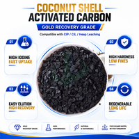 Charbon actif granulaire de coque de noix de coco, valeur d'iode 1000, pour la raffinage des métaux précieux, fourni par l'usine
