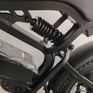 Bicicletas Eléctricas de Alto Rendimiento con Batería de Iones de Litio de 48V 500w 750w, Autonomía de 60 km, Modelo FW-F02 - Product Image 1