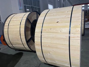 1KV <span class=keywords><strong>acsr</strong></span> và ABC Cáp aaac 0.6 bạc sáng tất cả các dây dẫn hợp kim nhôm được sản xuất cho trên không ứng dụng cáp điện - Product Image 6