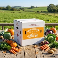 Op maat bedrukte kartonnen dozen Papieren dozen Verpakkingsdoos Bedrukt logo Tissuepapier Verpakkingsdoos Premium doosverpakking