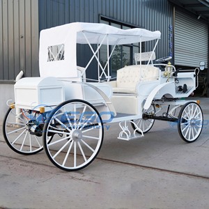Custom Fashion European Style Electric Horse-drawn Sightseeing Carriage Pure White <b>Double</b>-row 5-6 Persons Wedding Party Use 4 - Product Image 4