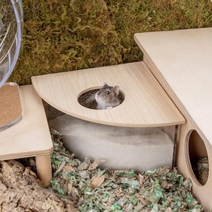 Boîte de bain de <span class=keywords><strong>sable</strong></span> en acrylique pour petits animaux de compagnie-Conteneur de creusement en forme de triangle pour hamsters, gerbilles, souris et lemmings - Product Image 3
