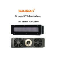Système de séchage UV LED 12020 mm pour imprimante jet d'encre Ricoh G5 G6, réparation de peinture automobile, sérigraphie et séchage d'adhésifs UV