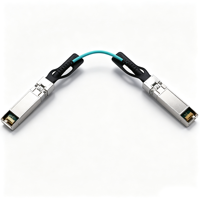 Penjualan Panas Optoray OTS-25G-AOC-1M 25G SFP28 AOC Kabel Optik Aktif 850nm Garansi 1 Tahun Harga Kompetitif FTTX Telekomunikasi 1M Fiber