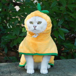 Peignoir pour animaux de compagnie en polaire corail, couleur citrouille, chaud pour l'hiver, cape absorbante pour chats - Product Image 1