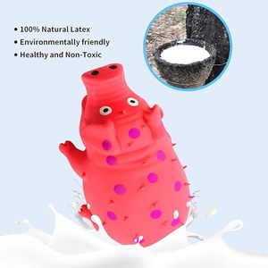 Juguetes para Perros con Sonido de Cerdo, Juguetes Masticables de Goma Resistentes con Sonidos de Gemidos y Ronquidos para Perros, Juguete Interactivo de Látex para Cachorros - Product Image 4
