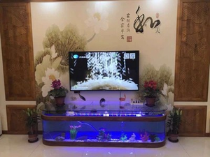 Personnalisé grand <span class=keywords><strong>cube</strong></span> transparent acrylique <span class=keywords><strong>aquarium</strong></span> <span class=keywords><strong>aquarium</strong></span> verre balle avant TV support table <span class=keywords><strong>aquarium</strong></span> <span class=keywords><strong>aquarium</strong></span> - Product Image 6