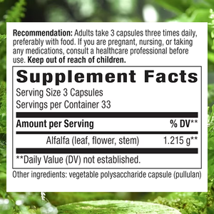 Complément alimentaire de luzerne OEM/ODM Well Body en capsules, vitamines et minéraux pour la santé digestive et le soutien immunitaire des adultes, marque privée - Product Image 2