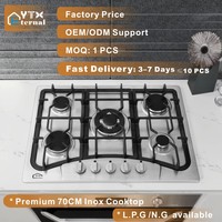 Vente en gros de table de cuisson à gaz à cinq brûleurs 70cm en acier inoxydable, poêle à gaz GPL NG en fer intégré pour camping-car, usage hôtelier et domestique
