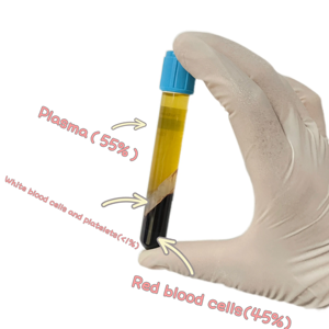 Livraison Gratuite Tubes PRP <span class=keywords><strong>Biotine</strong></span> 8mL/10mL/12mL/15mL avec Gel ACD/Citrate de Sodium pour Usage Médical et Vétérinaire, Beauté et Croissance Capillaire - Product Image 2